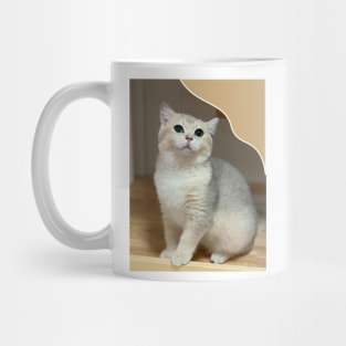 the little cute cats Mug
